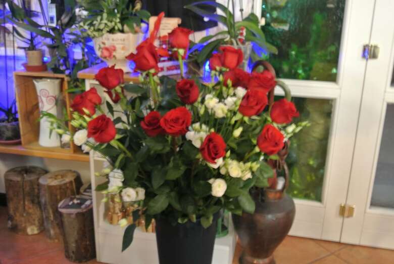 Bed & Breakfast Caff� Del Viaggiatore