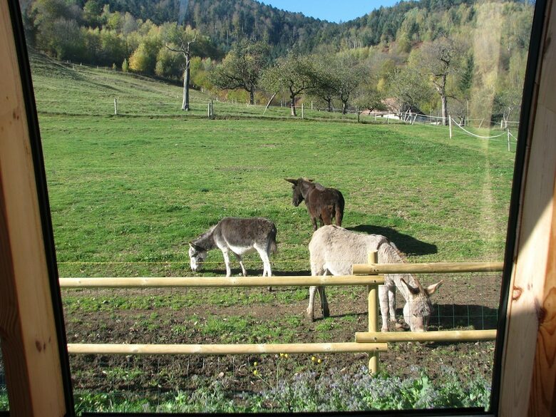 Hotel La Ferme Traitsanes