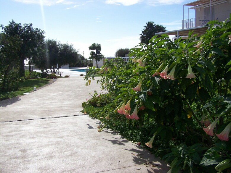 Hotel La Scibina - Ospitalit� Mediterranea