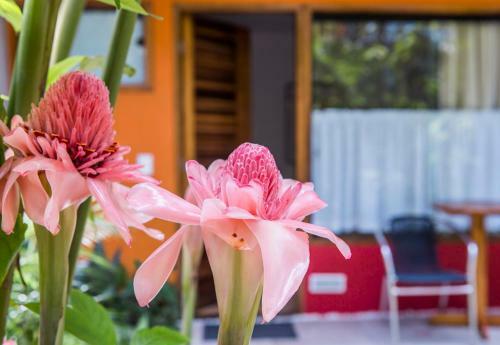 Hostal Pousada Arma��o De Camburi