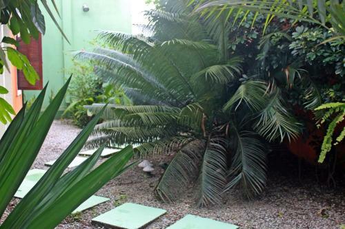 Hostal Pousada Do Pinheiro
