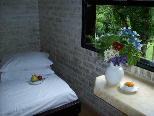 Hostal Reserva Ecol�gica Terra Do Sempre