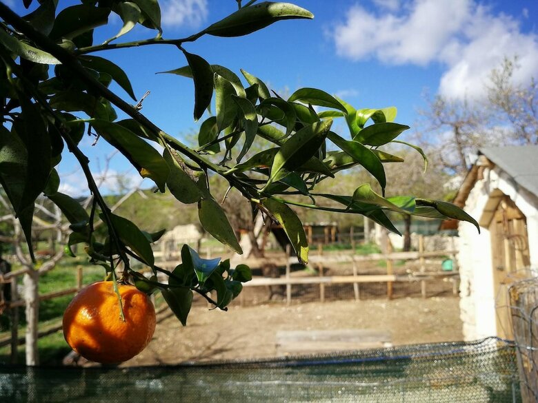 Hotel Masseria Usamborgia