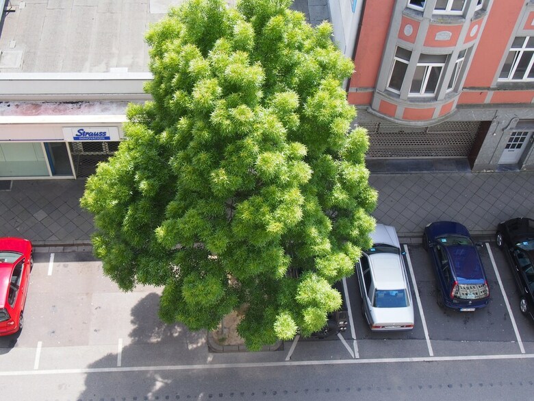 Hotel Domapartments Aachen City
