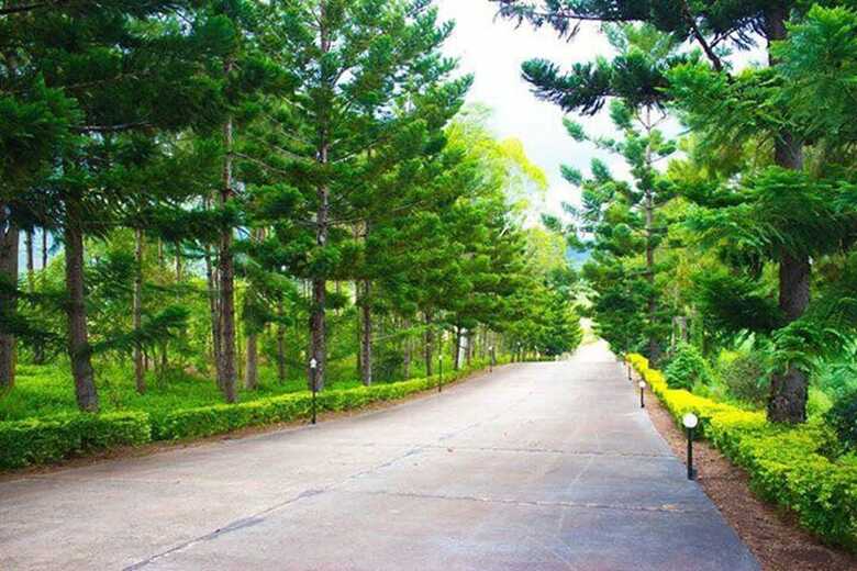Hotel Bird Land Resort