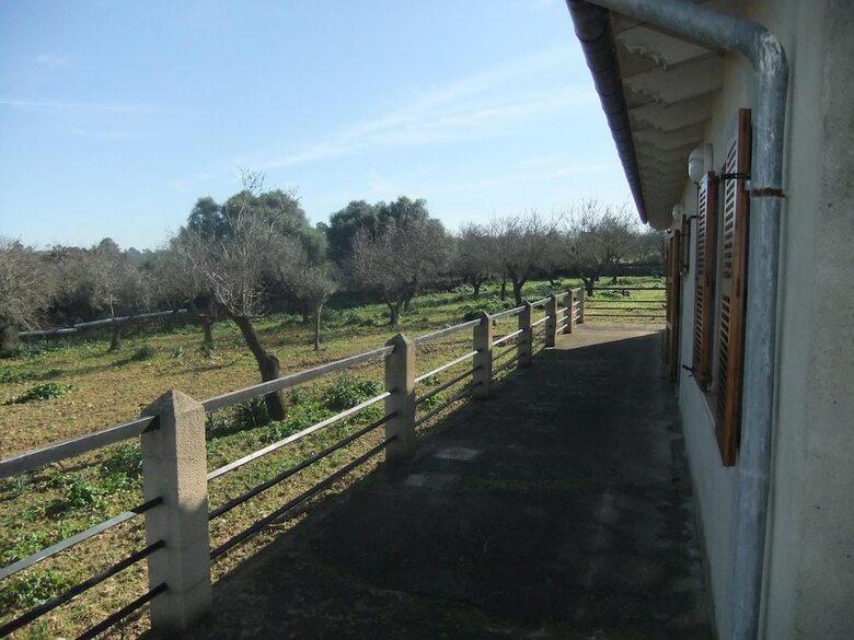 Villa Finca Son Rossinyol