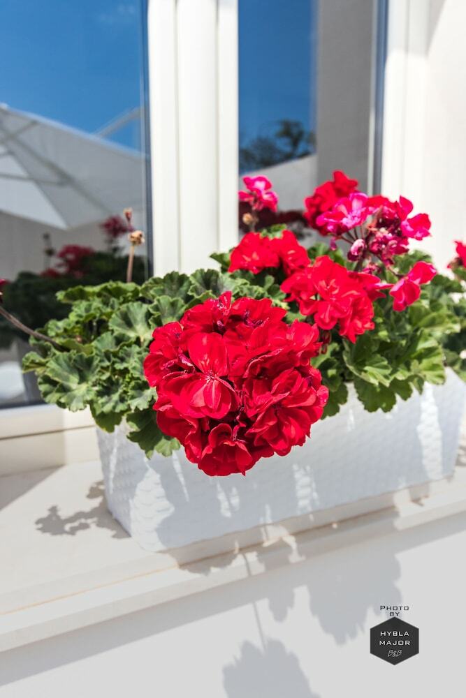 Hybla Major B&B