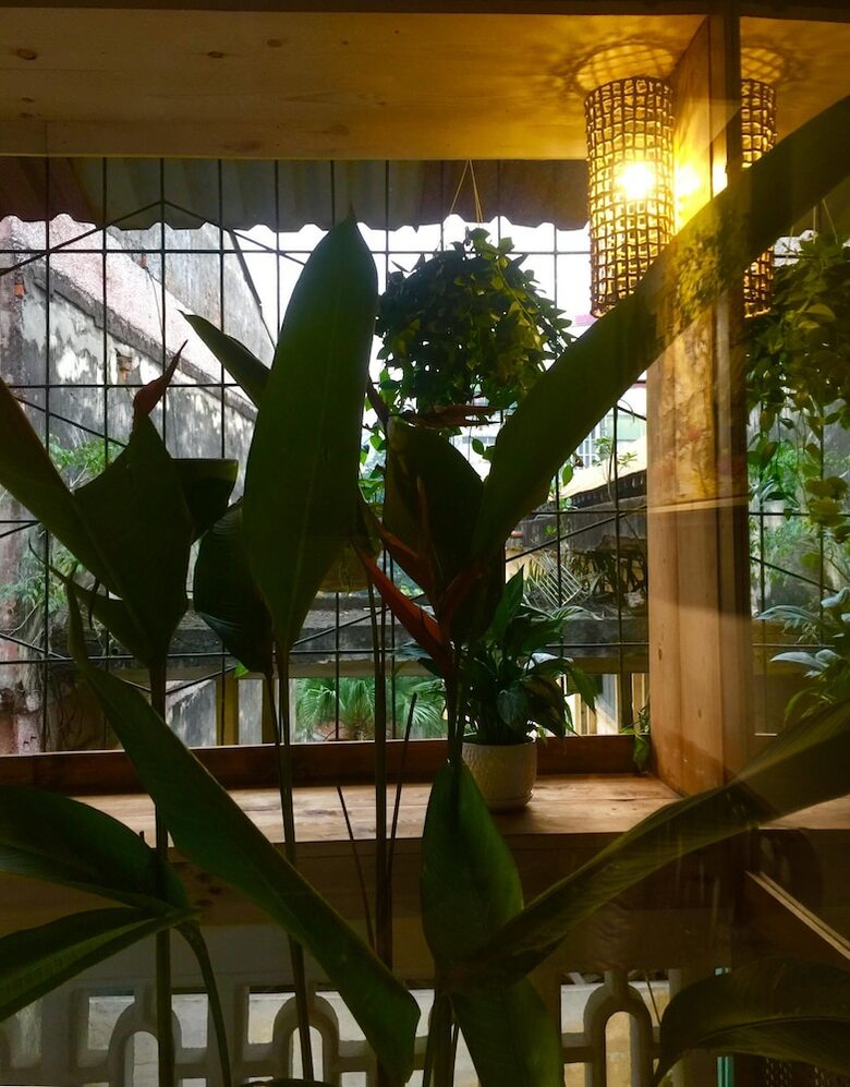 Apartamentos A Green Home