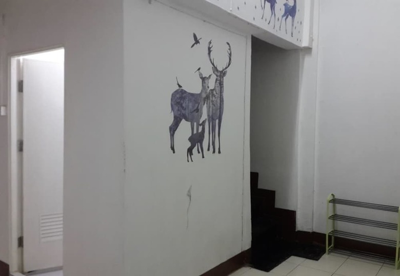 Hotel Green Box Hostel