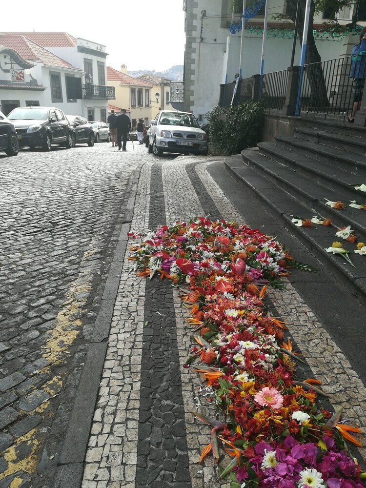Apartamentos Casa Zona Velha -caetano