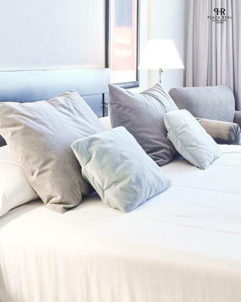 Hotel Plaza Real Suites