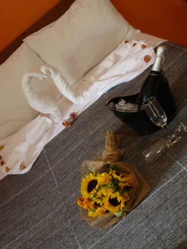 Hostal Pousada Vov� Alice
