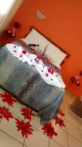 Hostal Pousada Vov� Alice