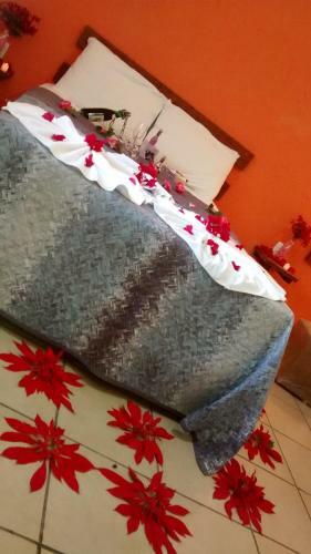 Hostal Pousada Vov� Alice