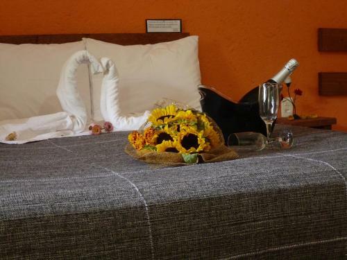 Hostal Pousada Vov� Alice