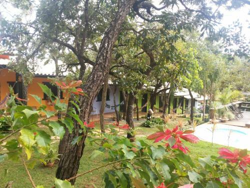 Hostal Pousada Anau� Cip�
