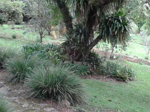 Hostal Pousada Recanto �guas Vivas