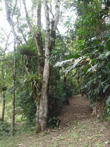 Hostal Pousada Recanto �guas Vivas