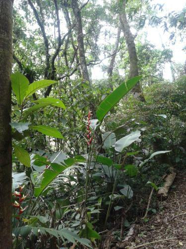 Hostal Pousada Recanto �guas Vivas