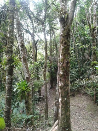 Hostal Pousada Recanto �guas Vivas