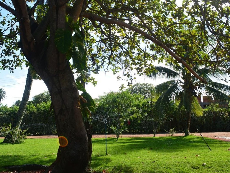 Hotel Alma Tropical Resort