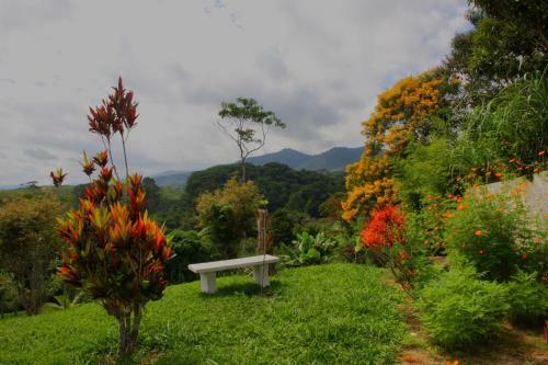 Hostal Pousada Cora��o Verde