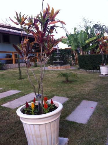 Hostal Pousada Vista Alegre