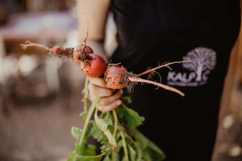 Bed & Breakfast Agrotourism Kalpi?