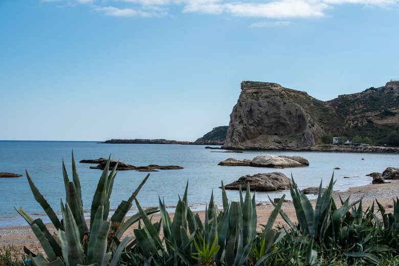 Residencia Stegna Dream