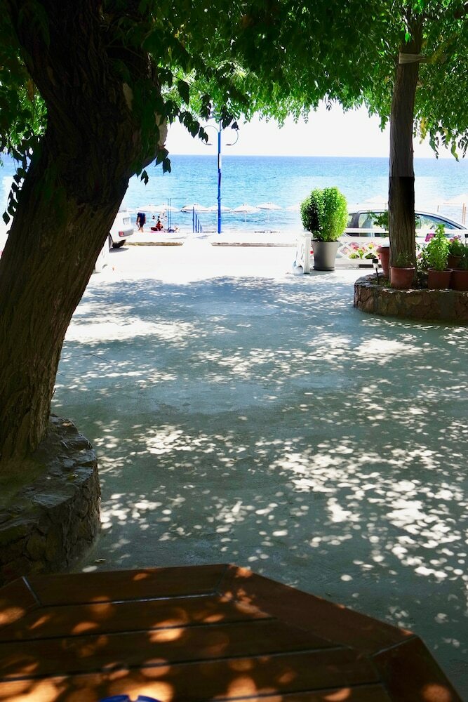 Residencia Stegna Dream