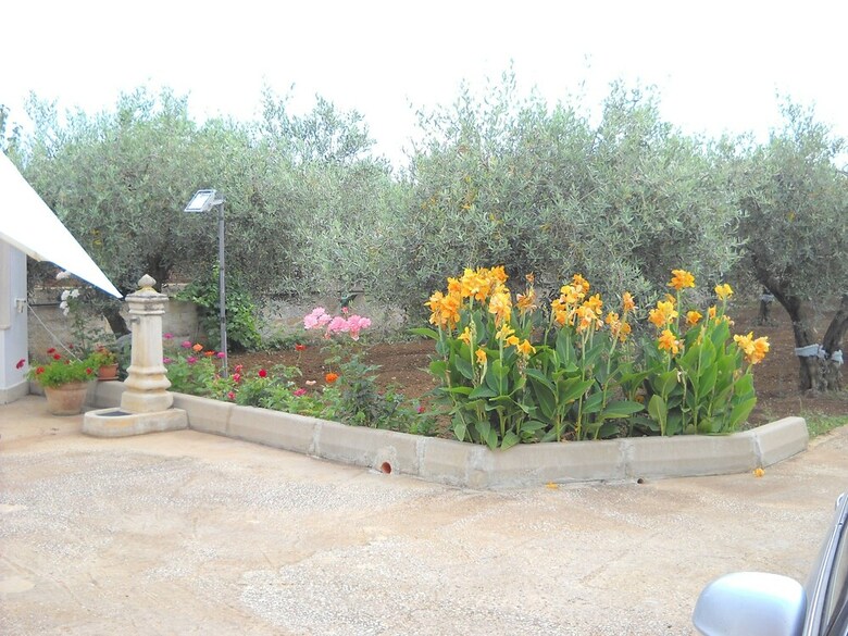 Bed & Breakfast Santa Teresa