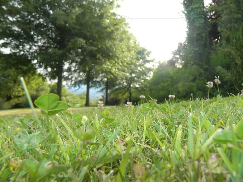 Apartamento La Vignola