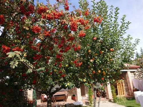 Agroturismo Ermita de Gredos