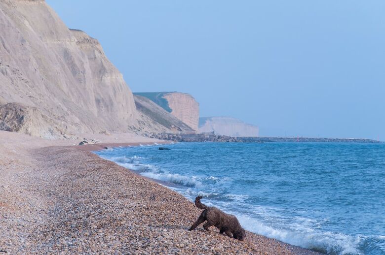 Eype's Mouth Country Hotel