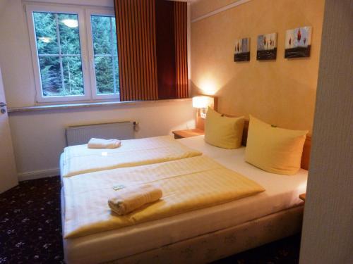 Flair-waldhotel Mellestollen