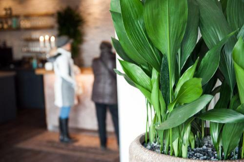 Hotel Alte Redaktion