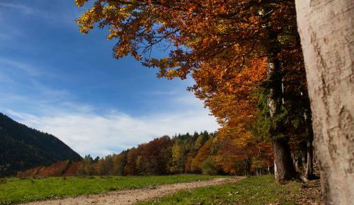 Hostal Gasthof Fischerst�berl