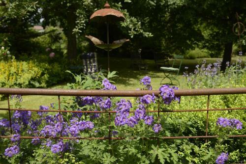 Hostal Kr�uterpension S�umerpfad