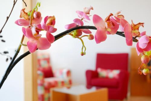 Bio-seehotel Zeulenroda