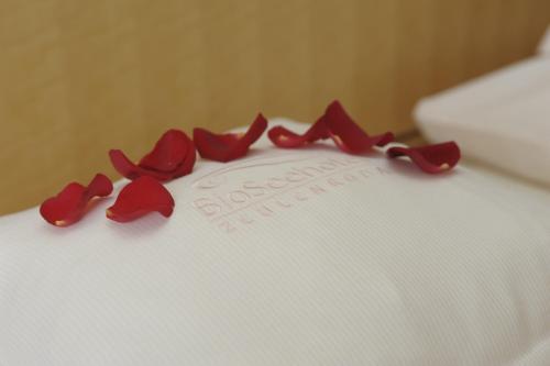 Bio-seehotel Zeulenroda