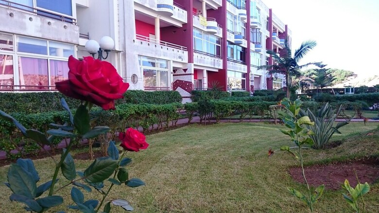 Apartamentos Artistica Suite - La Siesta