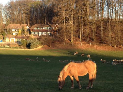 Hostal Cd G�stezimmer