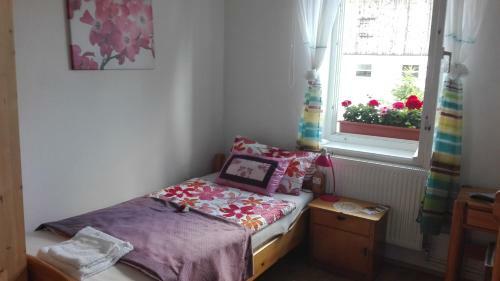 Hotel-pension "alte Schule"