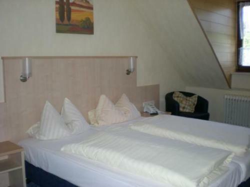 Hostal Gasthaus Sonne