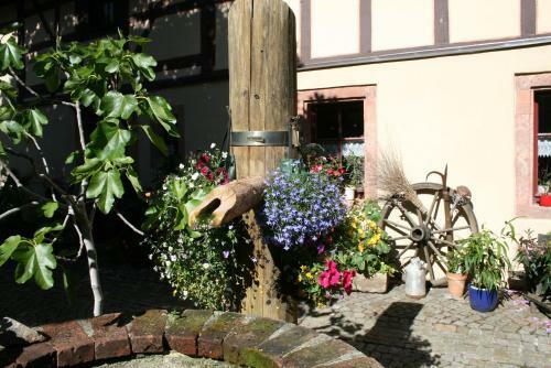 Aparthotel Auszeithof