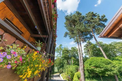 Hostal Hotel Waldhof