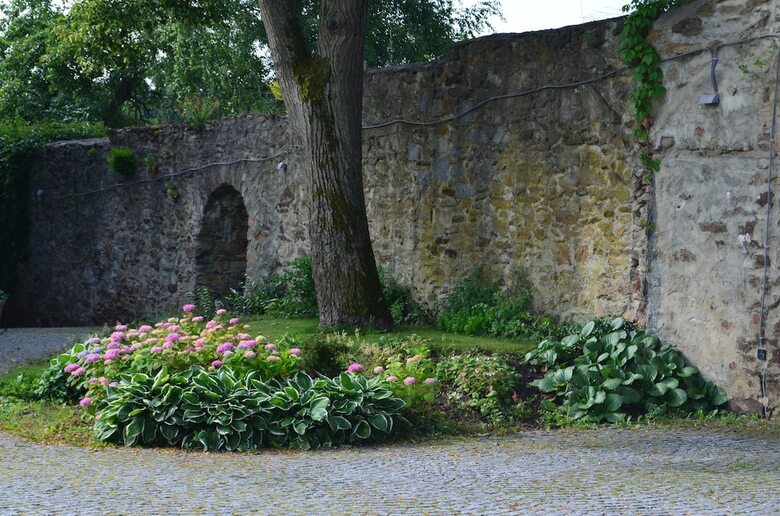 Pension Vila Elektra