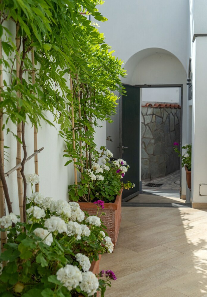 Bed & Breakfast Capri Dreaming