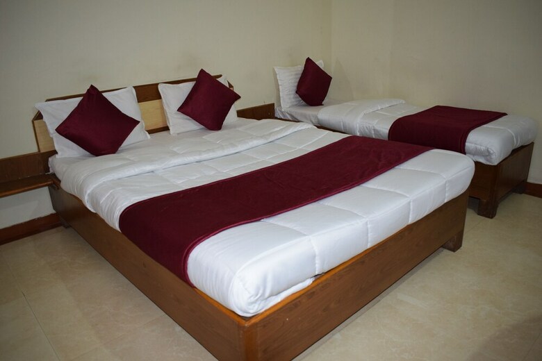 Hotel Manas Cottage,saputara
