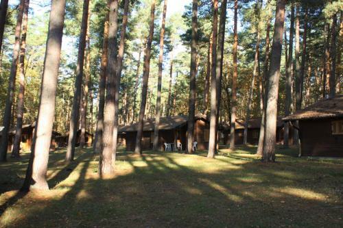 Heide-camp Colbitz